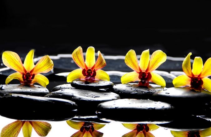 Вариант фотопечати: Орхидея желтая