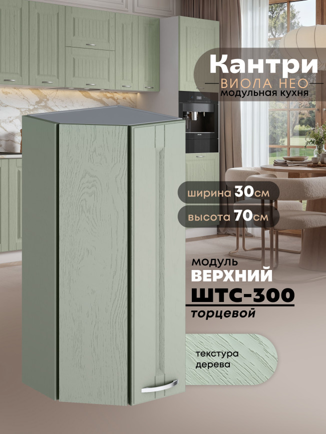 Кухонный модуль навесной торцевой Виола Нео Кантри ШТС-300 Матовый