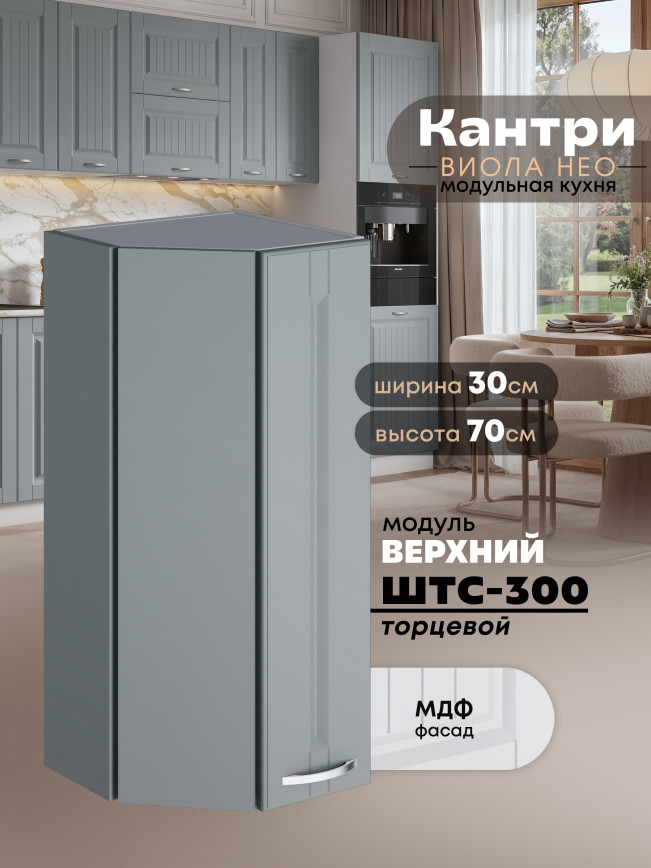 Кухонный модуль навесной торцевой Виола Нео Кантри ШТС-300 Матовый