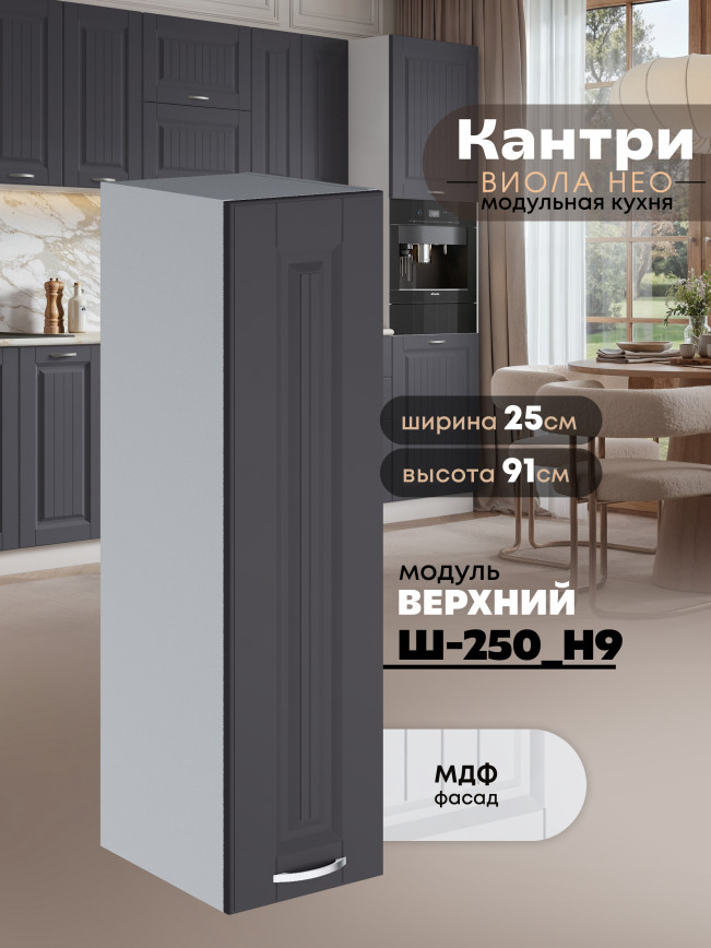 Кухонный модуль навесной Виола Нео Канрит Ш-250(Н9) Матовый