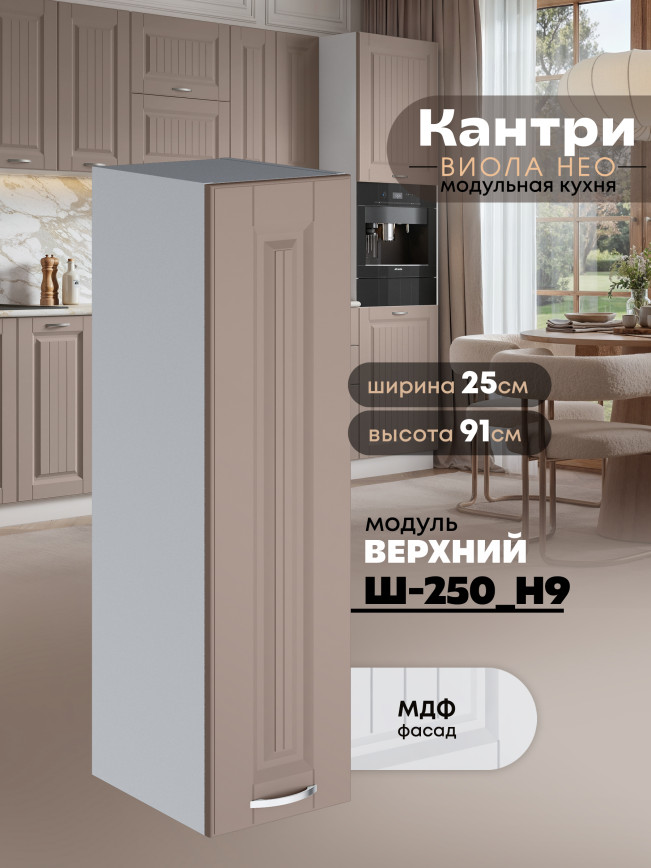 Кухонный модуль навесной Виола Нео Канрит Ш-250(Н9) Матовый