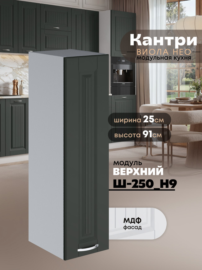 Кухонный модуль навесной Виола Нео Канрит Ш-250(Н9) Матовый
