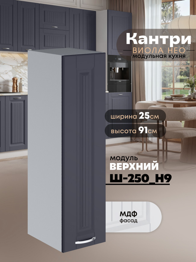 Кухонный модуль навесной Виола Нео Канрит Ш-250(Н9) Матовый