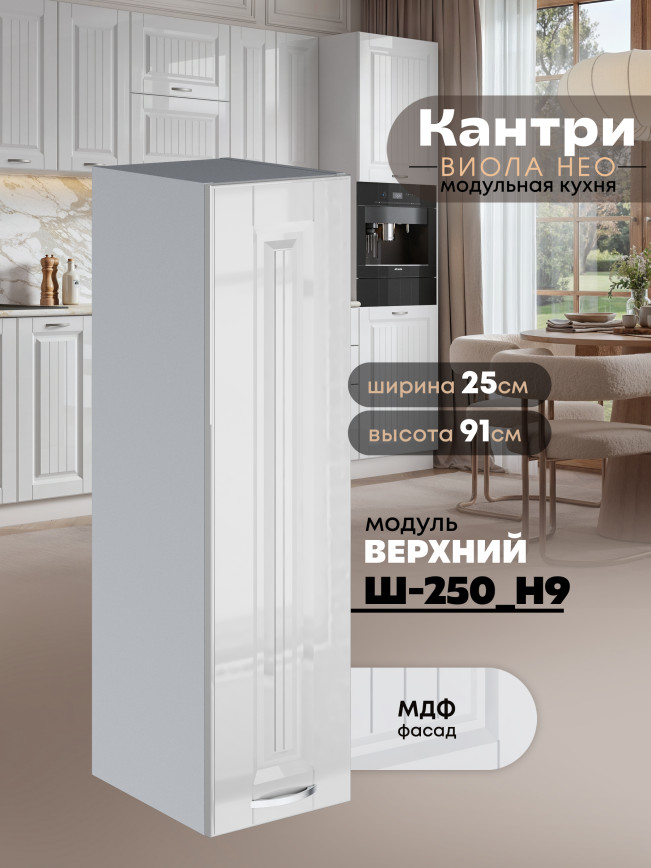 Кухонный модуль навесной Виола Нео Канрит Ш-250(Н9) Глянцевый