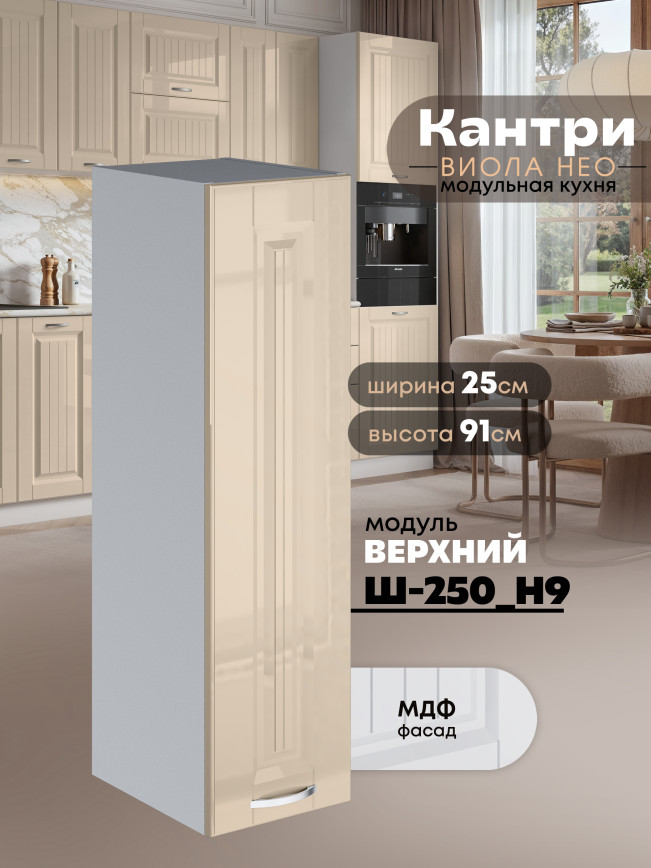 Кухонный модуль навесной Виола Нео Канрит Ш-250(Н9) Глянцевый