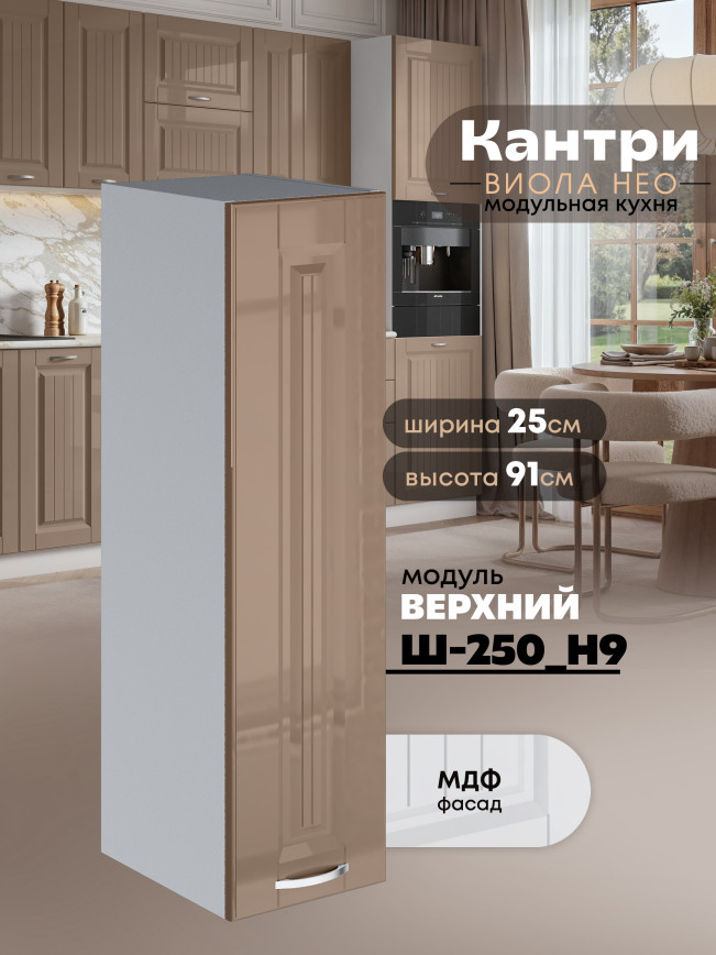Кухонный модуль навесной Виола Нео Канрит Ш-250(Н9) Глянцевый