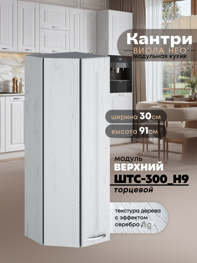 Кухонный модуль навесной торцевой Виола Нео Кантри ШТС-300(Н9) Матовый
