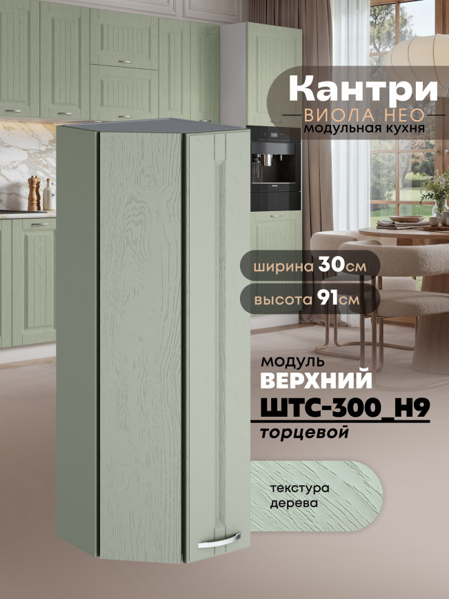 Кухонный модуль навесной торцевой Виола Нео Кантри ШТС-300(Н9) Матовый