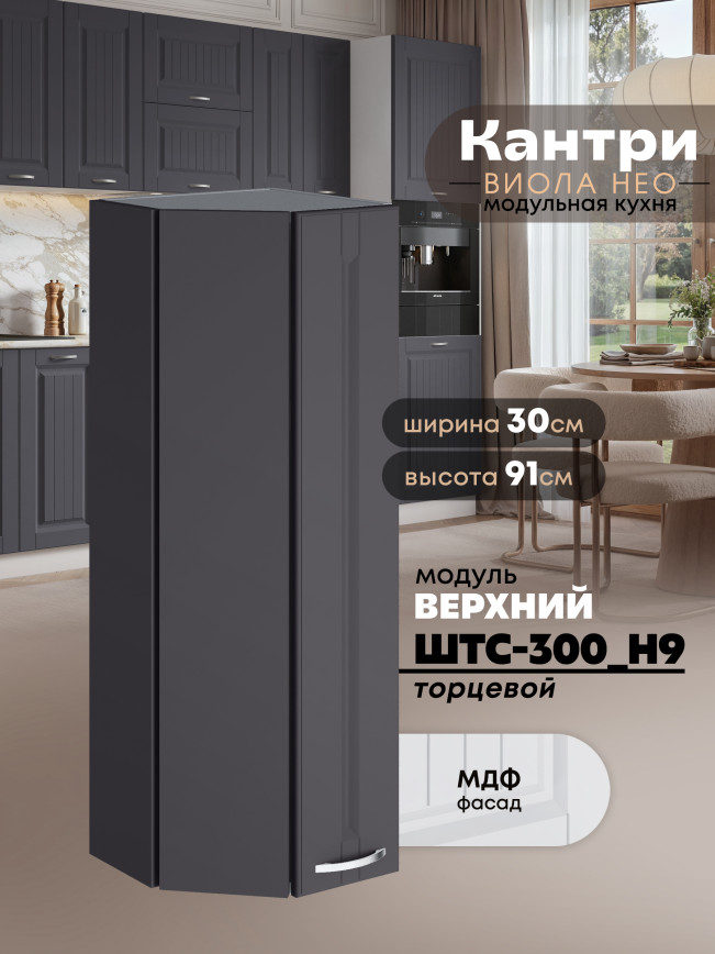 Кухонный модуль навесной торцевой Виола Нео Кантри ШТС-300(Н9) Матовый