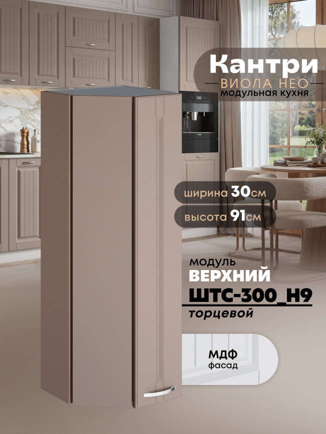 Кухонный модуль навесной торцевой Виола Нео Кантри ШТС-300(Н9) Матовый