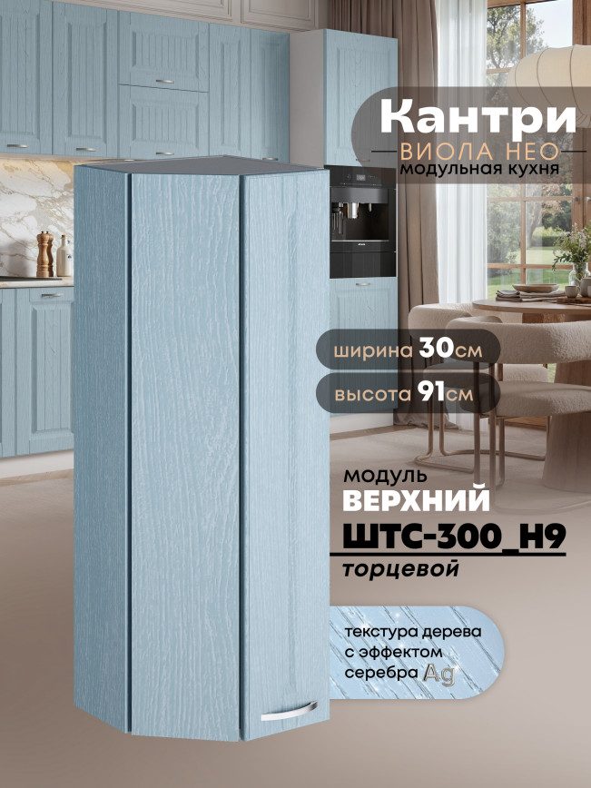 Кухонный модуль навесной торцевой Виола Нео Кантри ШТС-300(Н9) Матовый