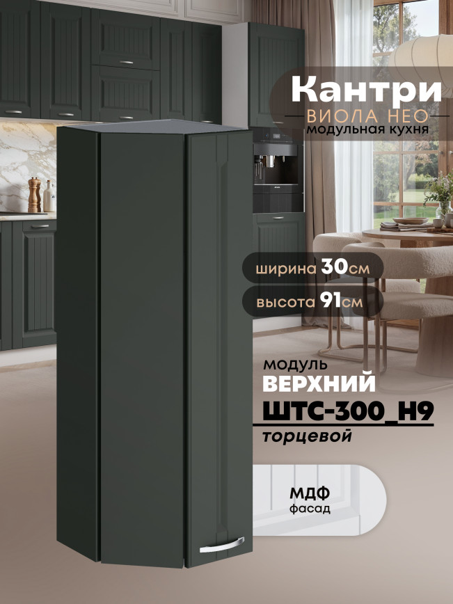 Кухонный модуль навесной торцевой Виола Нео Кантри ШТС-300(Н9) Матовый