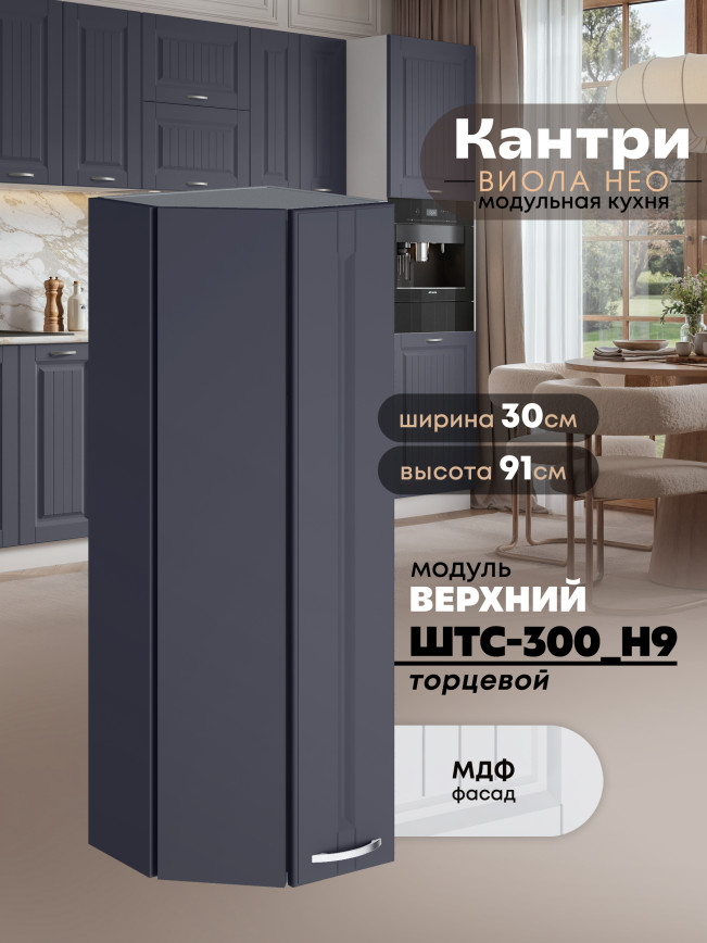 Кухонный модуль навесной торцевой Виола Нео Кантри ШТС-300(Н9) Матовый