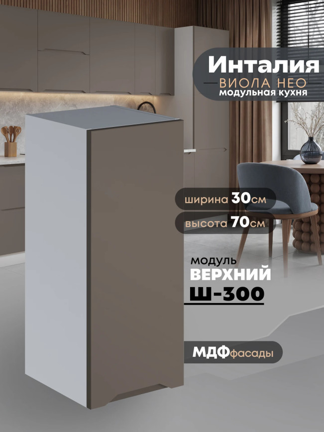 Инталия Ш-300 — Моно брауни