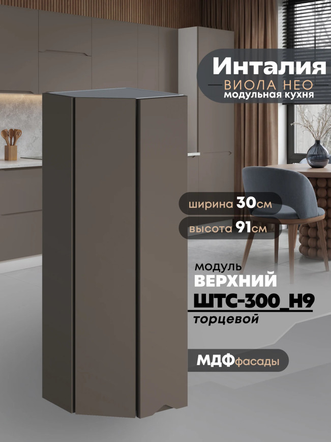 Инталия ШТС-300(Н9) — Моно брауни