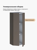 Инталия ШТС-300(Н9) — Моно брауни