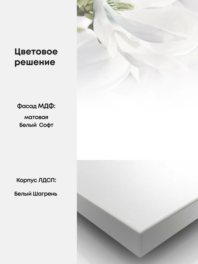 Модерн — ВиолаНео_общие_белый софт_1.jpg