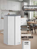 Модерн — Модерн_ШТС300_Белый софт_1.jpg